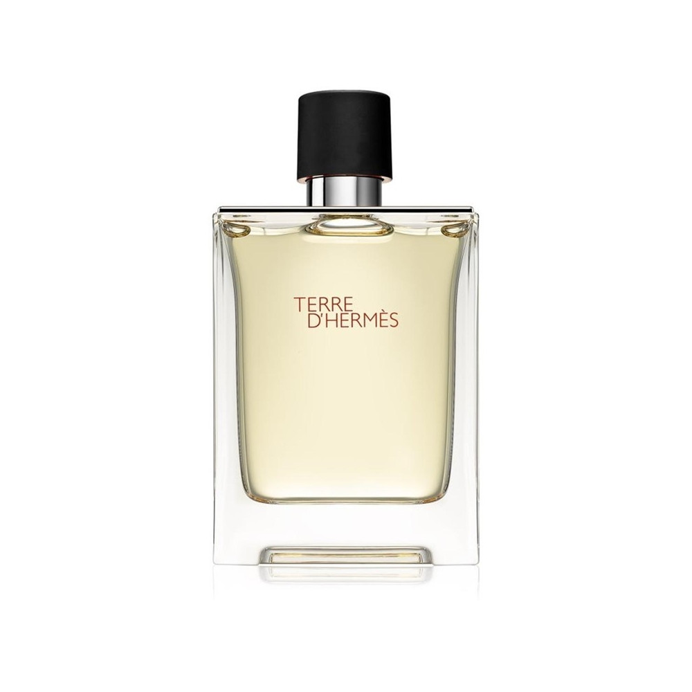 Produktbild för Terre dHermes Edt 100ml