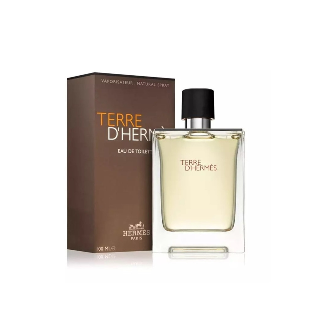 Produktbild för Terre dHermes Edt 100ml