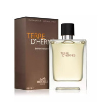 Produktbild för Terre dHermes Edt 100ml