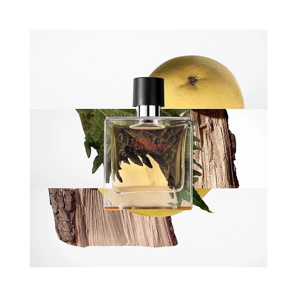 Produktbild för Terre dHermes Edt 100ml