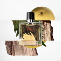 Produktbild för Terre dHermes Edt 100ml