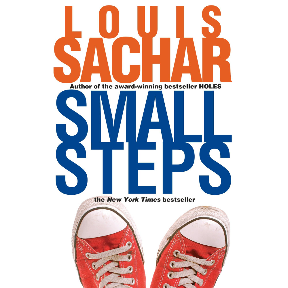 Produktbild för Small Steps (häftad, eng)