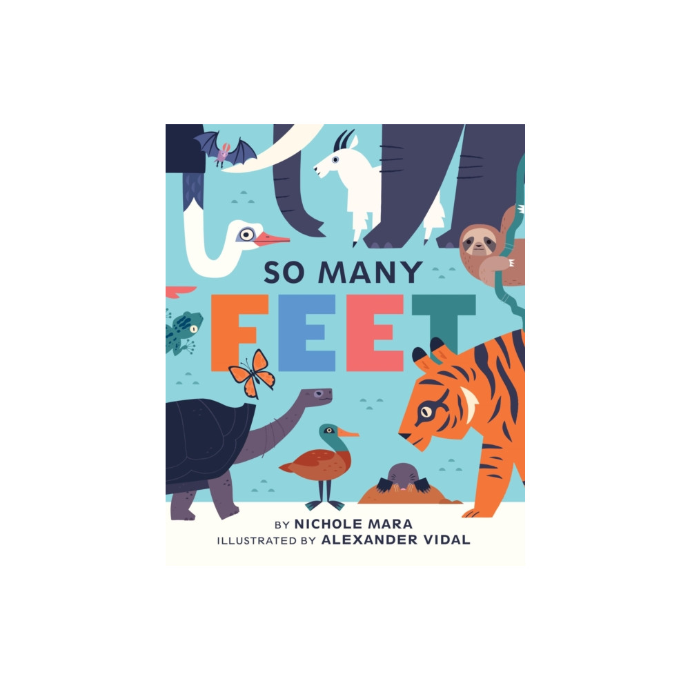 Produktbild för So Many Feet (bok, board book, eng)