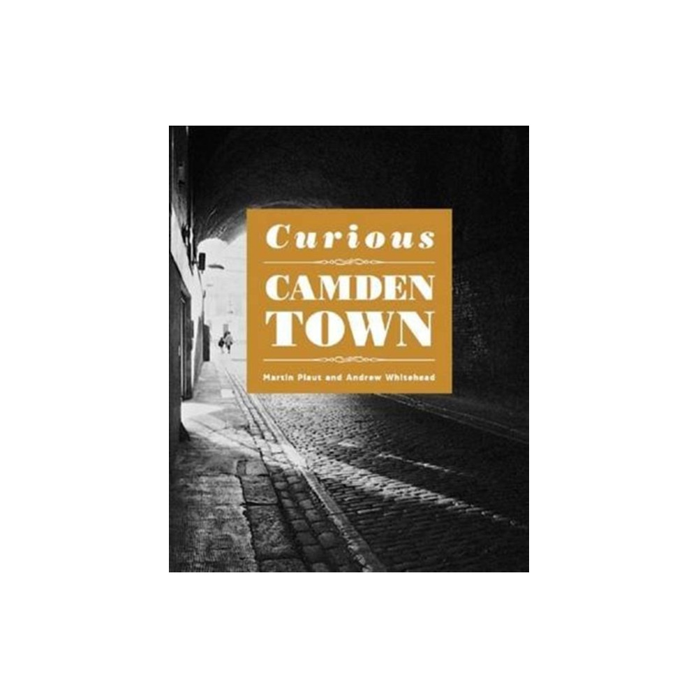 Produktbild för Curious Camden Town (häftad, eng)