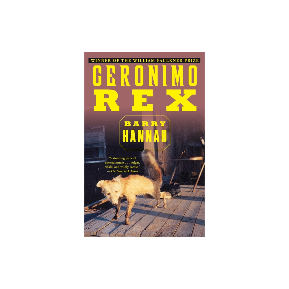 Produktbild för Geronimo Rex (häftad, eng)