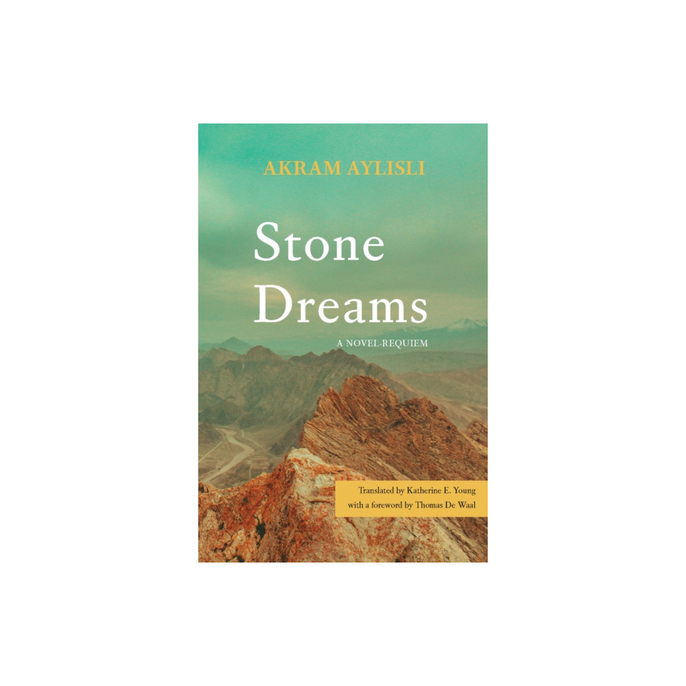 Produktbild för Stone Dreams (häftad, eng)