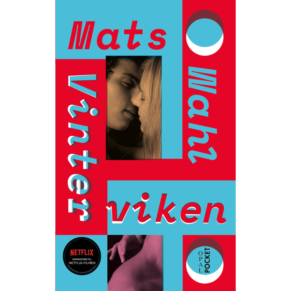Produktbild för Vinterviken (pocket)