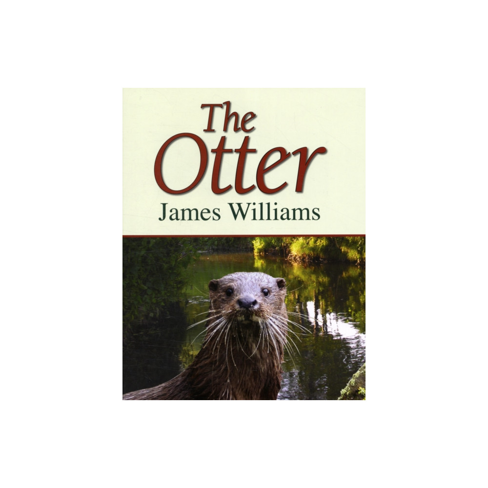 Produktbild för The Otter (inbunden, eng)
