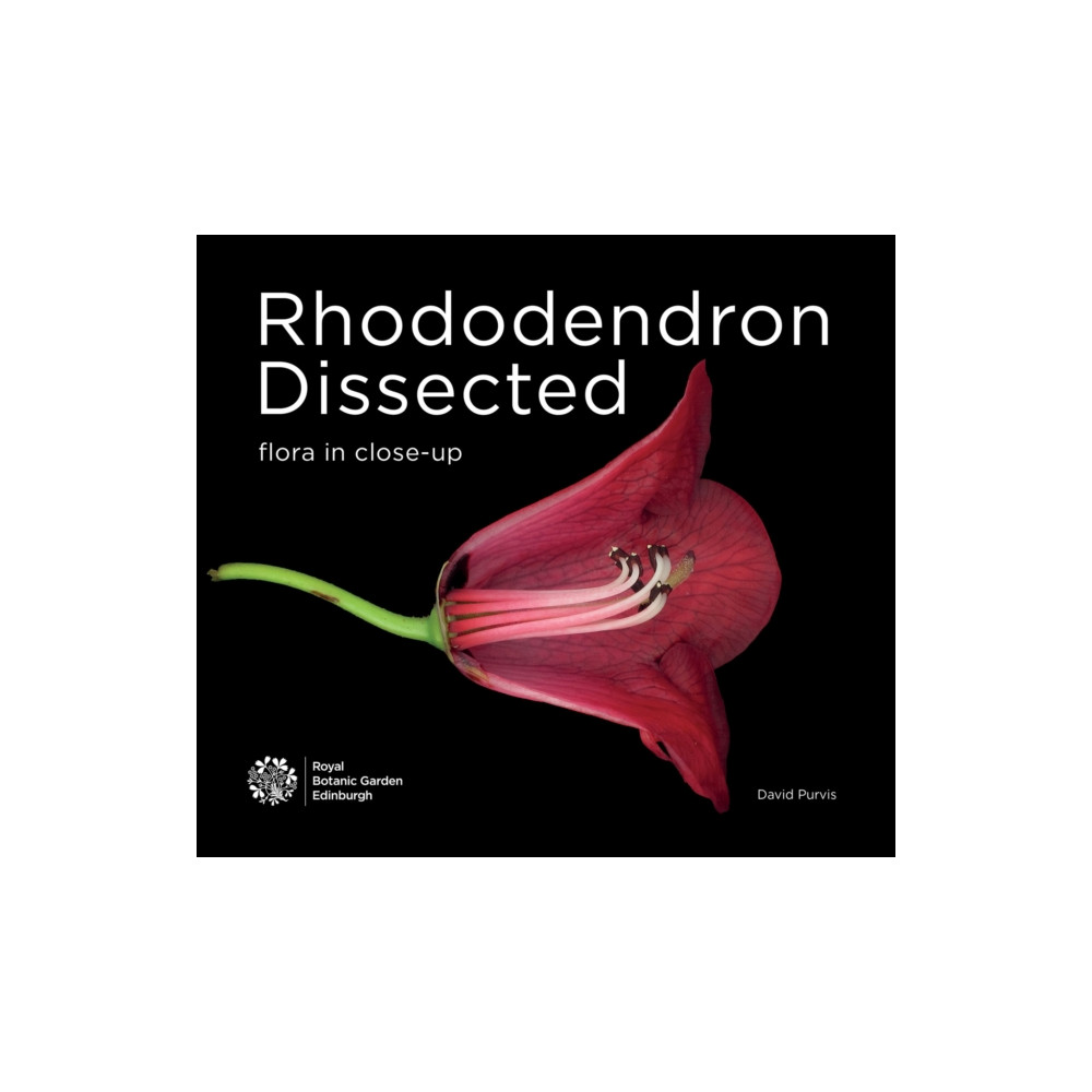 Produktbild för Rhododendron Dissected (häftad, eng)