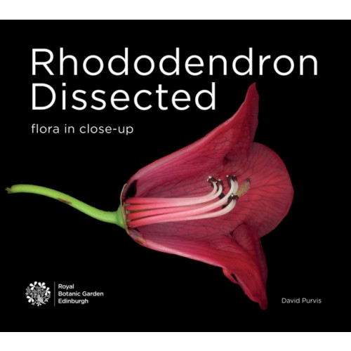 Royal Botanic Garden Edinburgh Rhododendron Dissected (häftad, eng)