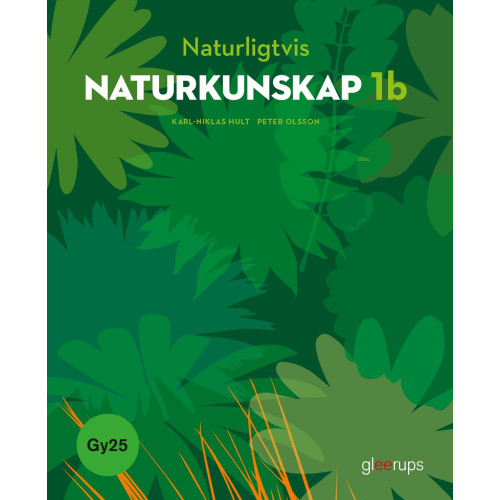 Karl-Niklas Hult Naturligtvis Naturkunskap 1b, bok, Gy25 (häftad)