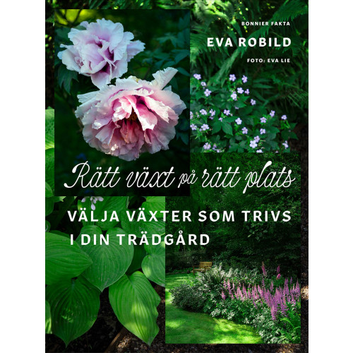 Eva Robild Rätt växt på rätt plats : välja växter som trivs i din trädgård (inbunden)
