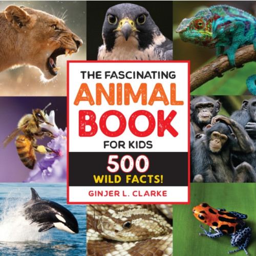 Callisto Media Inc. The Fascinating Animal Book for Kids (häftad, eng)