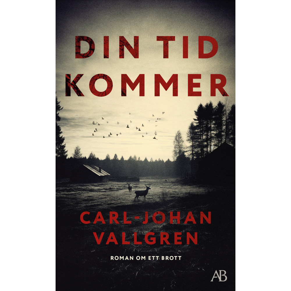 Produktbild för Din tid kommer (pocket)