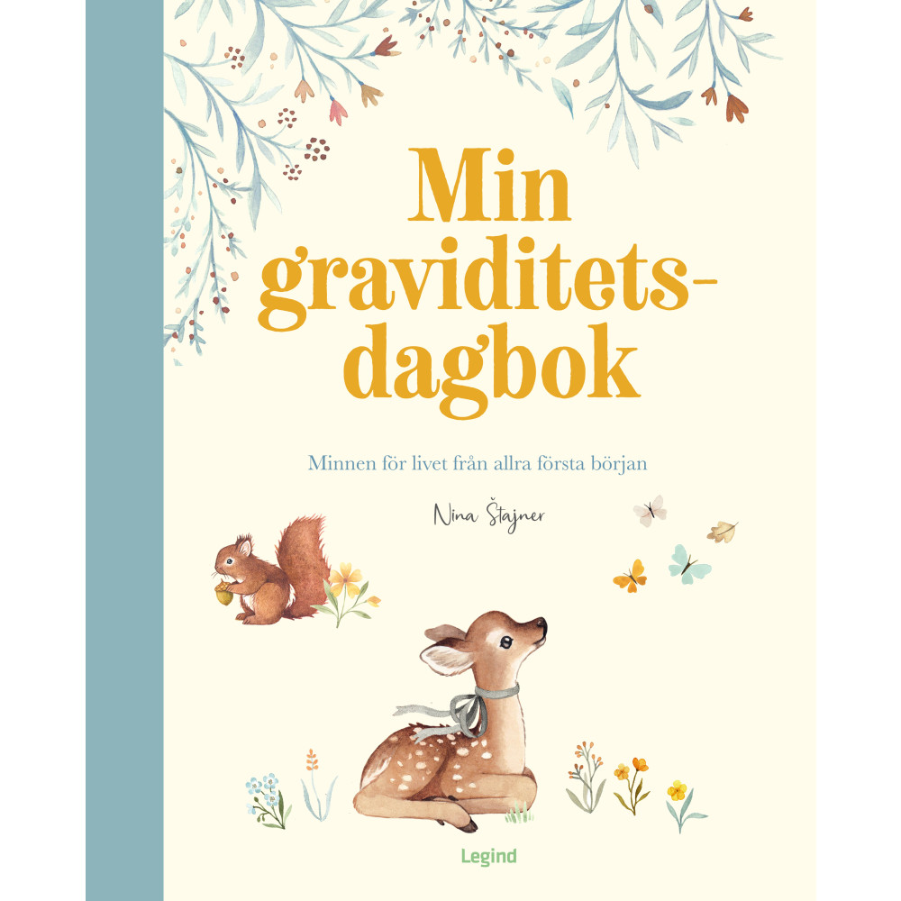 Produktbild för Min graviditetsdagbok : en fylla-i-bok (inbunden)