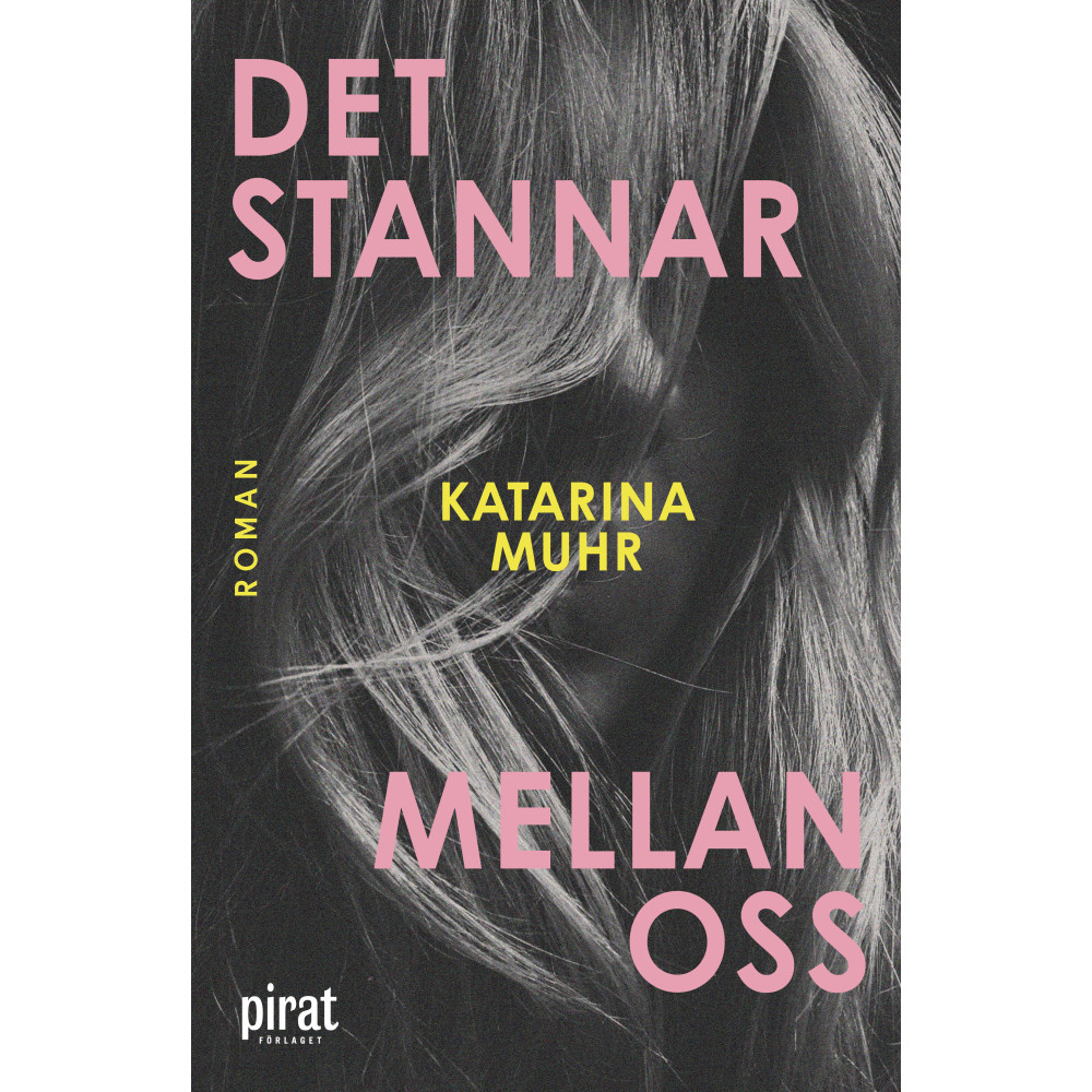 Produktbild för Det stannar mellan oss (inbunden)
