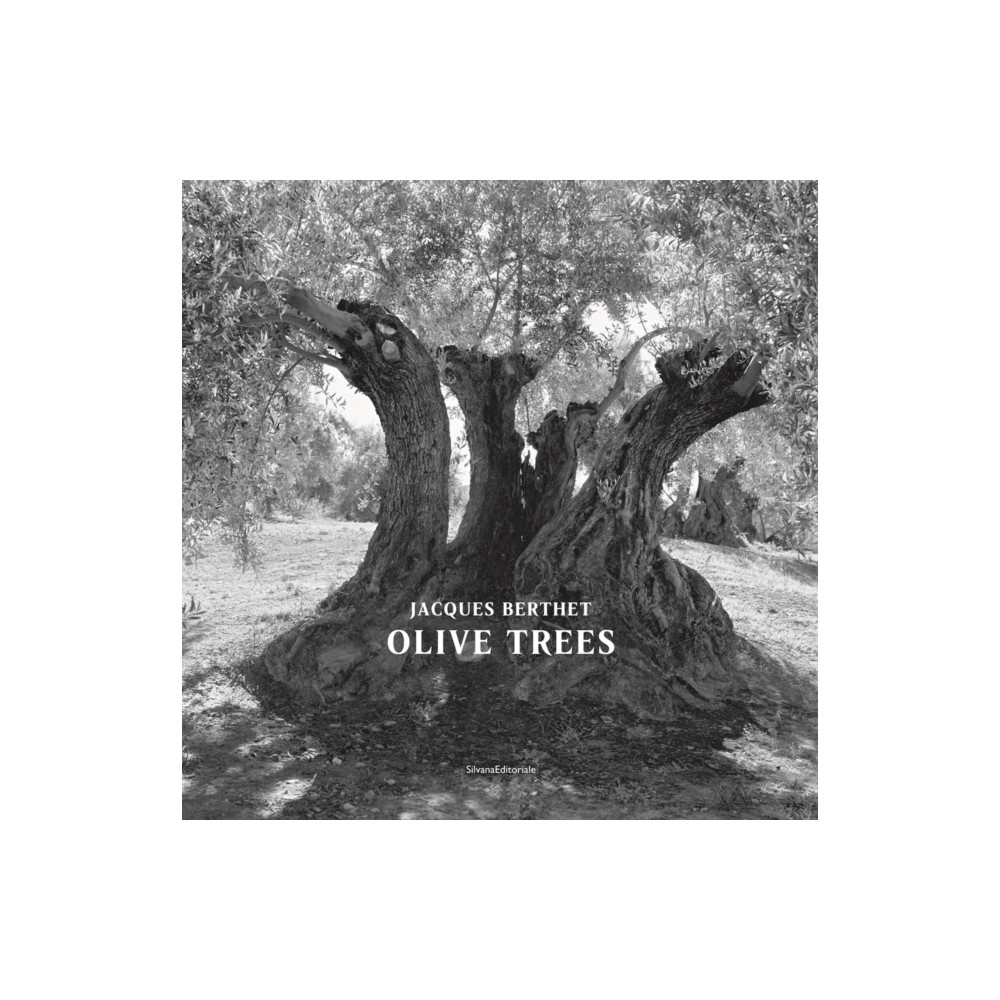 Produktbild för Olive Trees (häftad, eng)