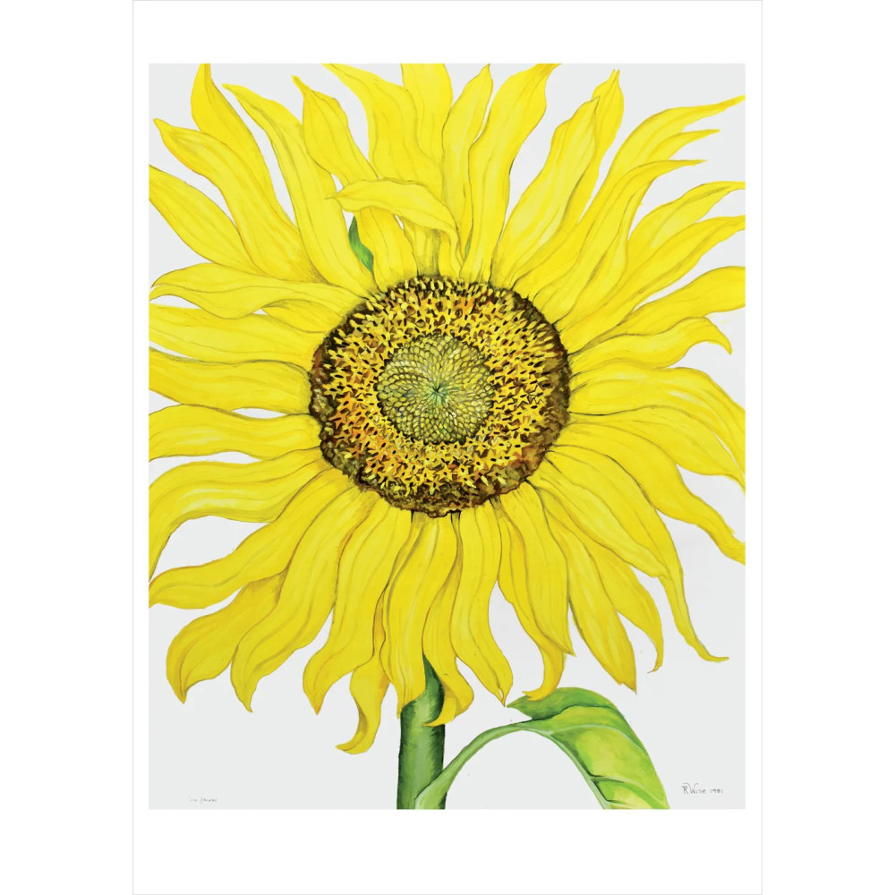Produktbild för Rosalind Wise: Sunflower Birthday Card