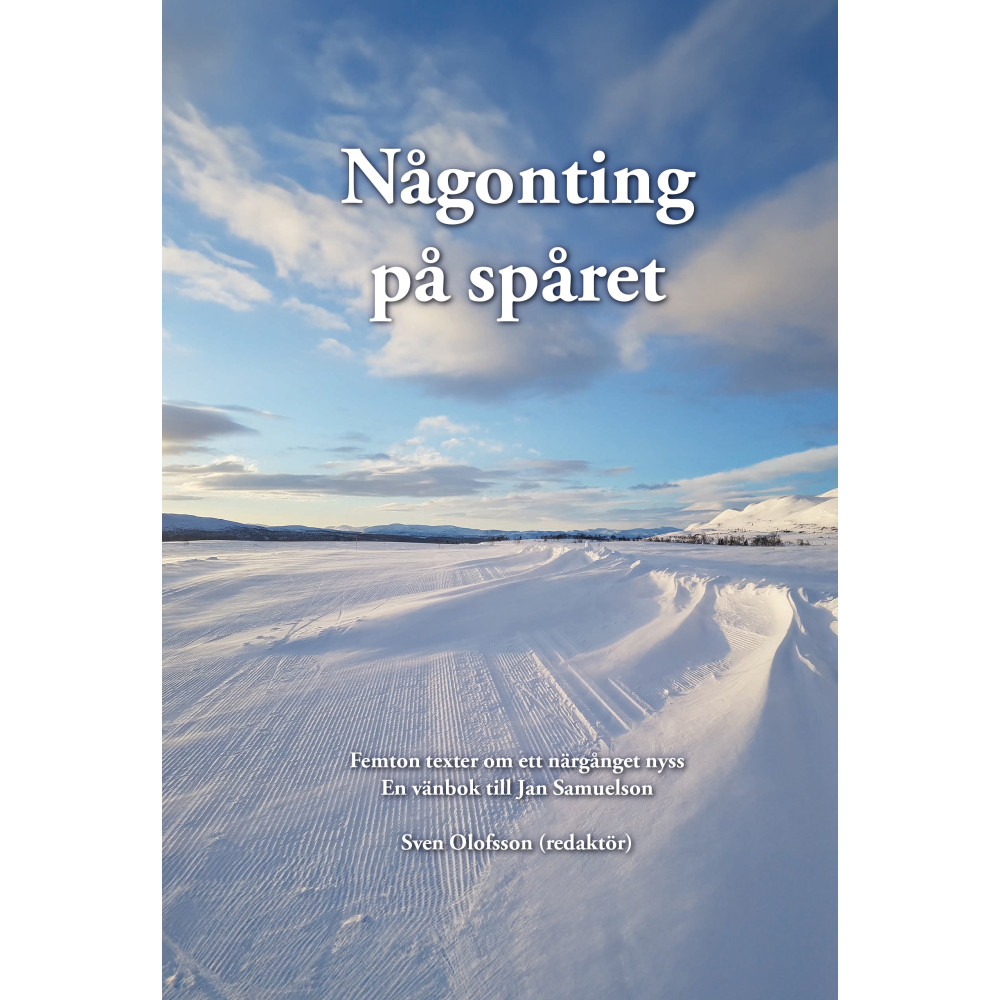 Produktbild för Någonting på spåret (inbunden)