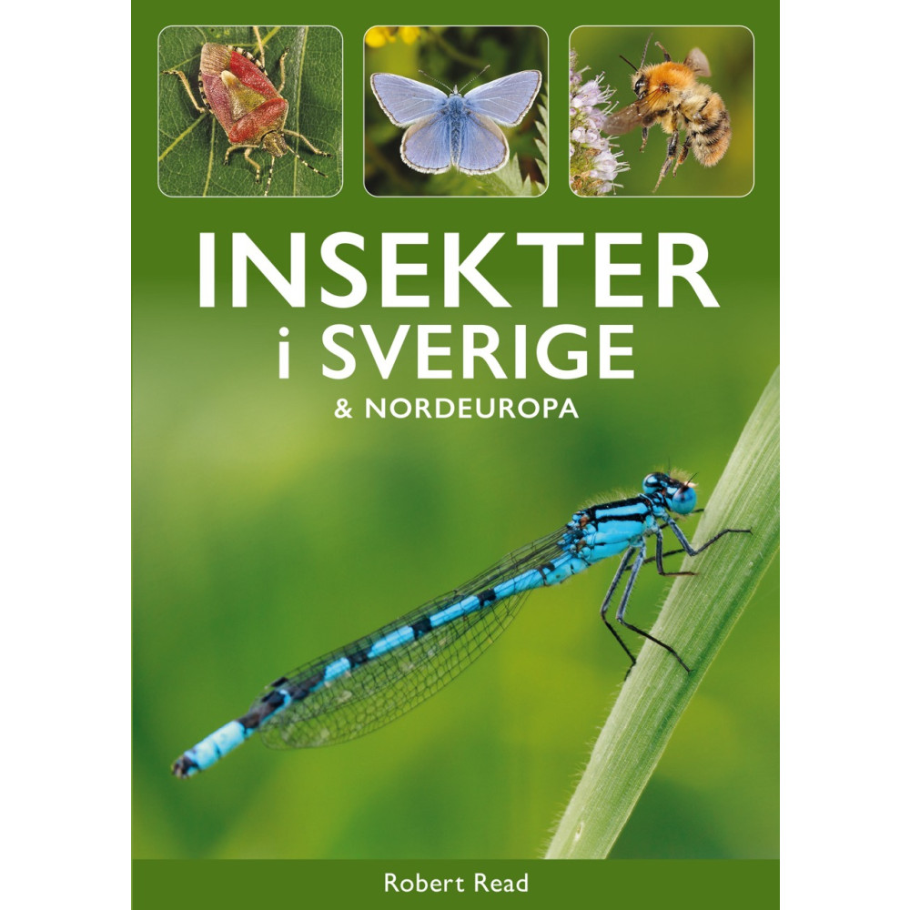 Produktbild för Insekter i Sverige och Nordeuropa (häftad)