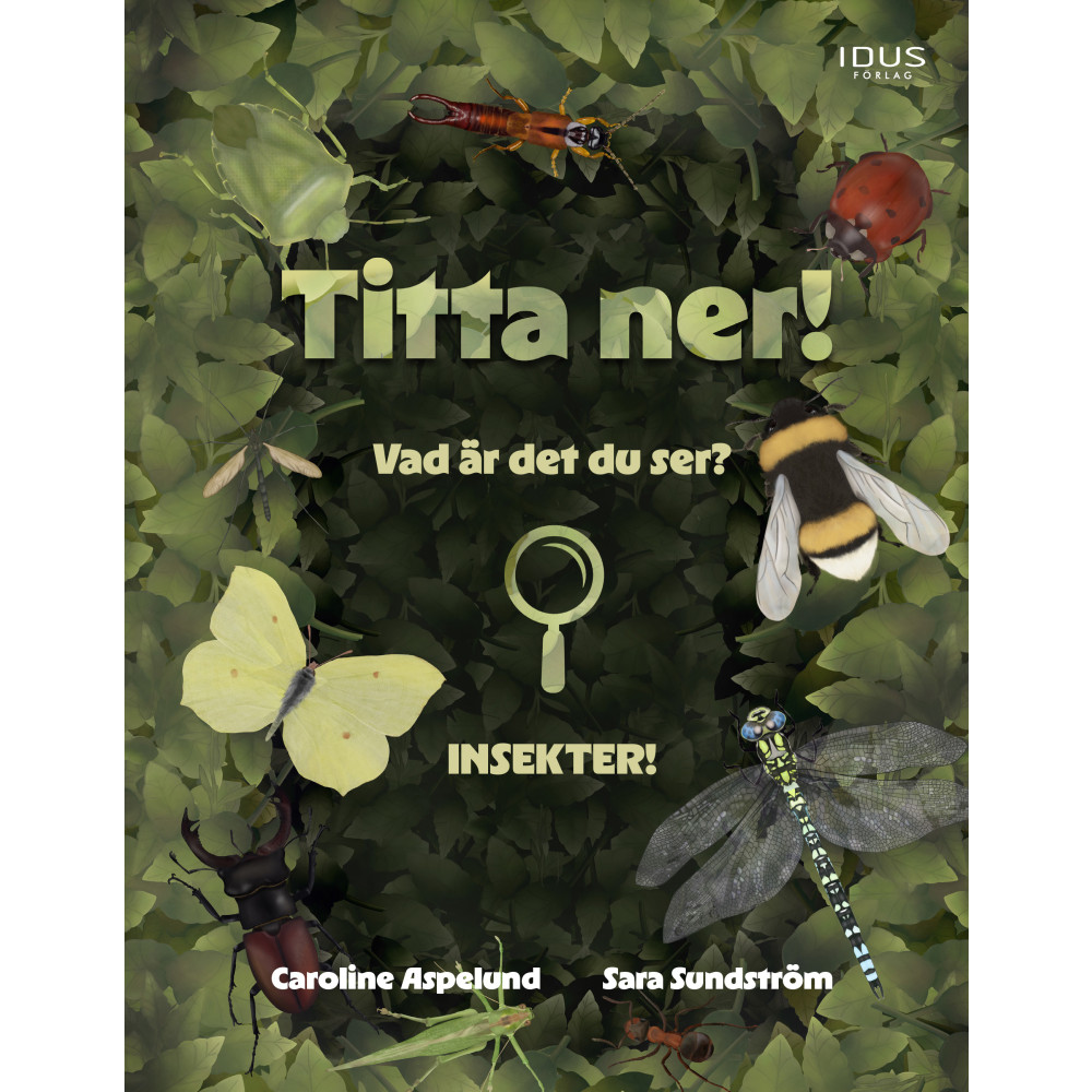 Produktbild för Titta ner! (inbunden)