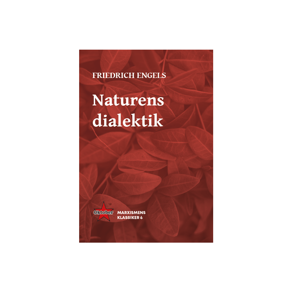 Produktbild för Naturens dialektik (häftad)