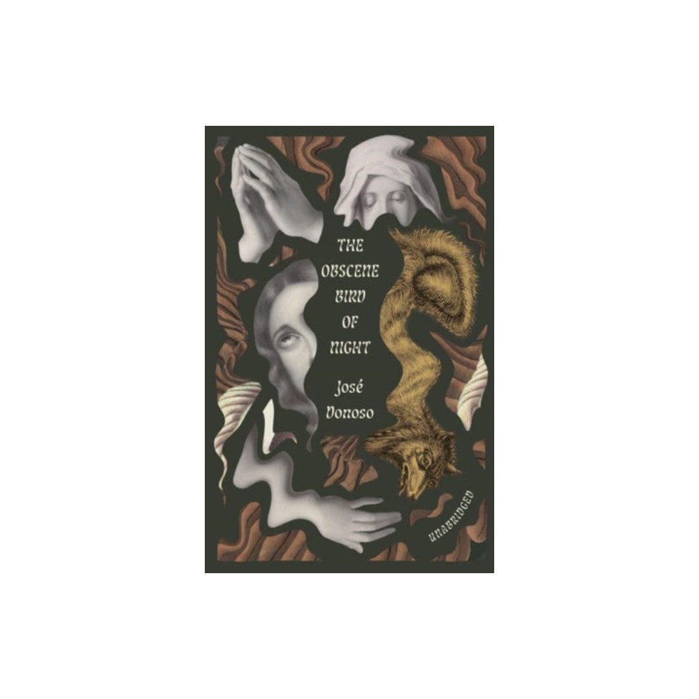 Produktbild för The Obscene Bird of Night (häftad, eng)