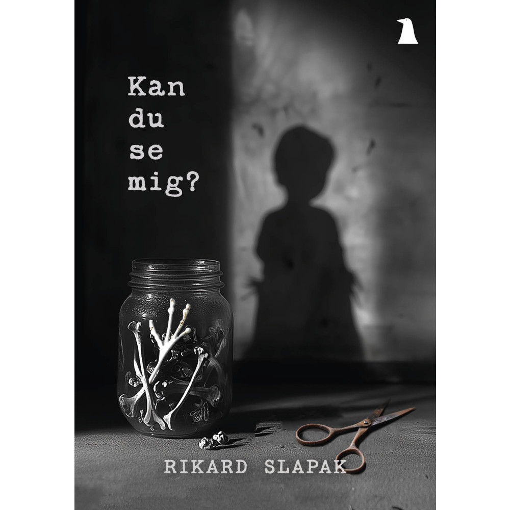 Produktbild för Kan du se mig? (häftad)