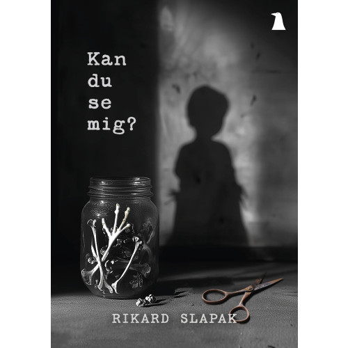 Rikard Slapak Kan du se mig? (häftad)