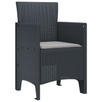 Produktbild för Trädgård Stol 2 pcs Antracit 53 x 49 x 85 cm Polypropylen