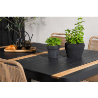 Produktbild för Togo Matbord med Lindos Stolarna