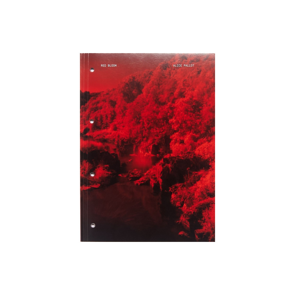 Produktbild för Red Bloom (häftad, eng)