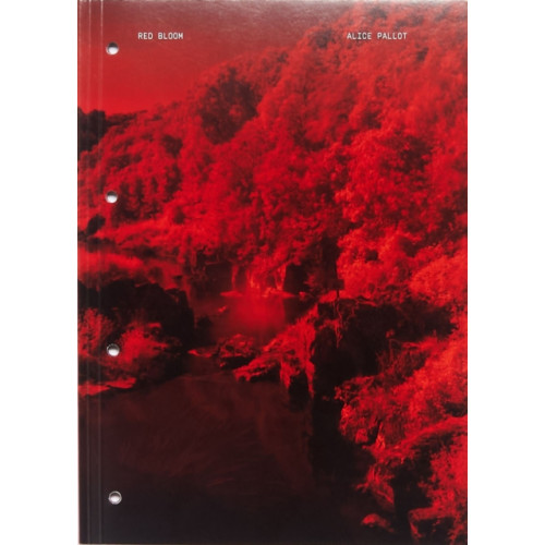 Aman iman Red Bloom (häftad, eng)