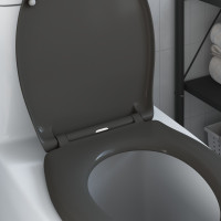 Produktbild för Toalettstol Antracit 47 x 37 x 4 cm Duroplast