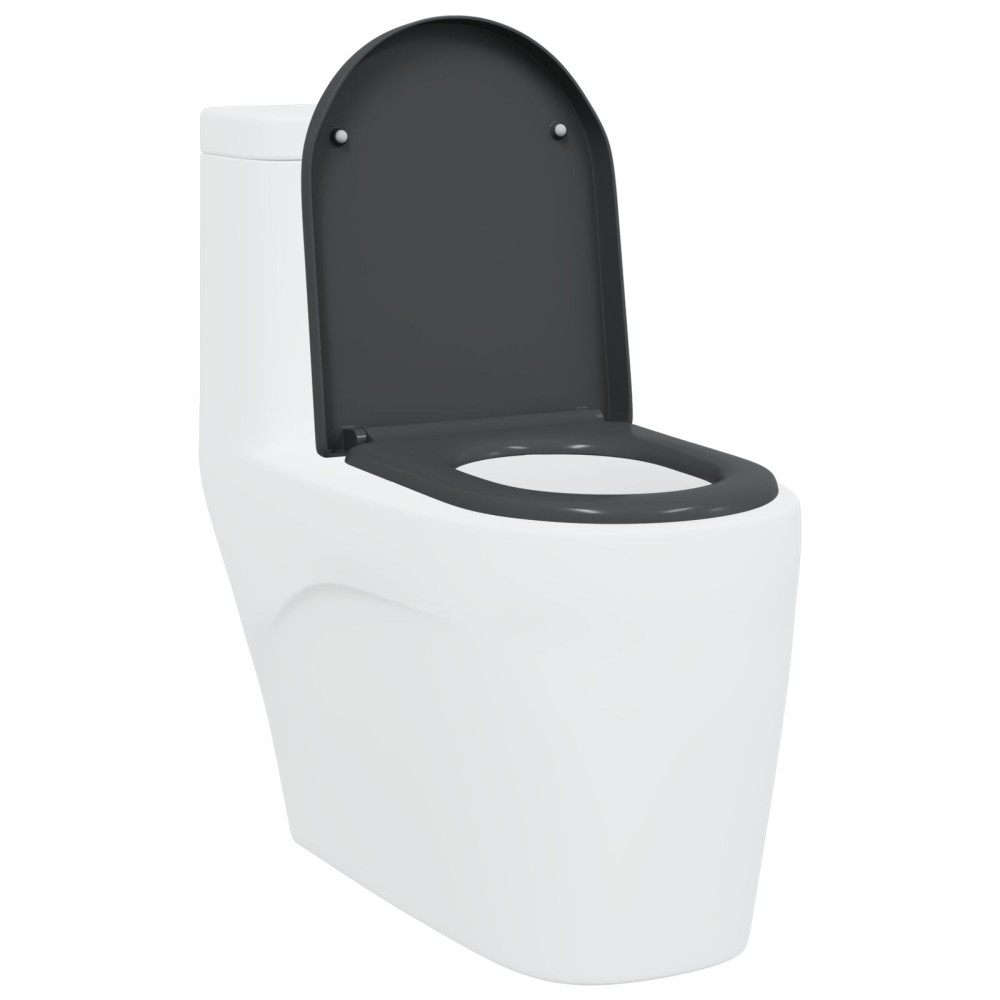 Produktbild för Toalettstol Antracit 49 x 36 x 4 cm Duroplast