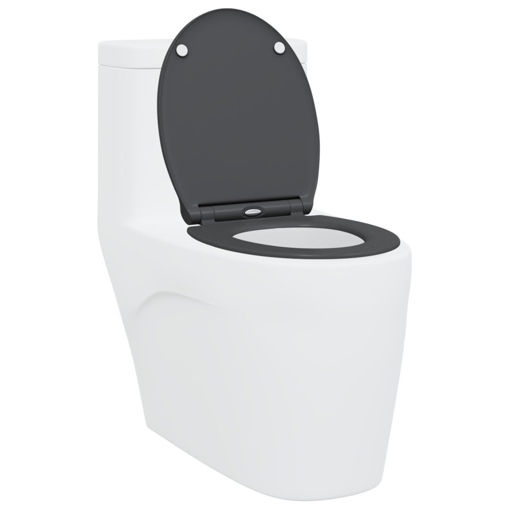 Produktbild för Toalettstol Antracit 45,5 x 37,5 x 3,8 cm Duroplast
