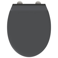 Produktbild för Toalettstol Antracit 45,5 x 37,5 x 3,8 cm Duroplast