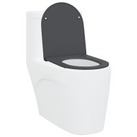 Produktbild för Toalettstol Antracit 47 x 36 x 3,4 cm Duroplast