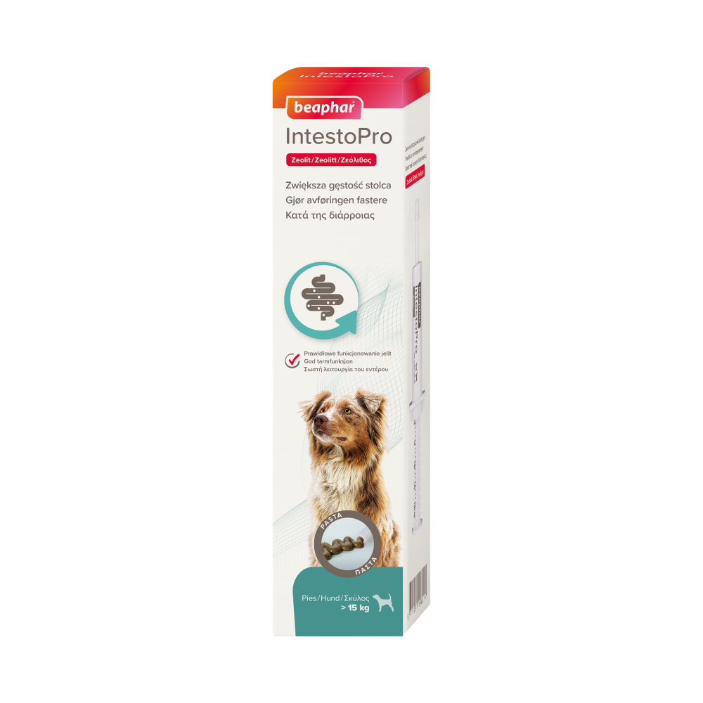 Produktbild för IntestoPro Pasta Hund