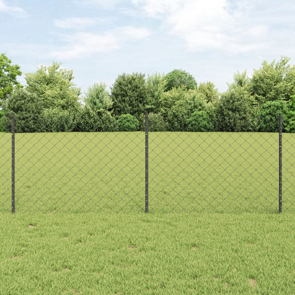 Produktbild för Kedjegaller med stolpe 10 x 0,8 m PVC-belagda stål Grå Mesh