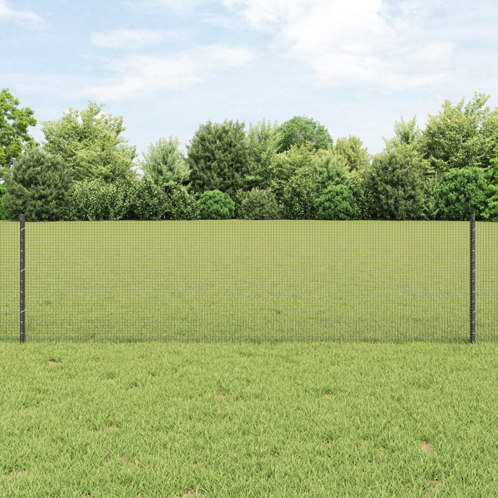 Produktbild för Svetsat trådgärd med stolpe 100 x 0,6 m (B x H)