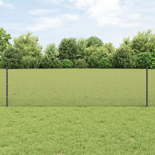 vidaXL Svetsat trådgärd med stolpe 100 x 0,6 m (B x H)