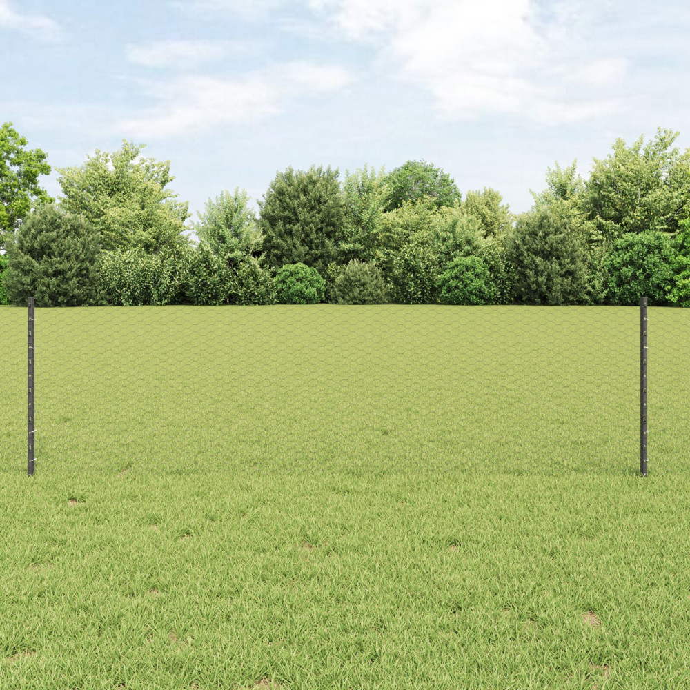 Produktbild för Utomhus hexagonal stängsel med stolpe 50 x 0,6 m Grå Mesh