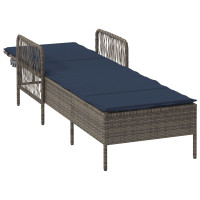 Produktbild för Solstol Grå och Marinblå 200 x 55 x 92 cm konstrotting
