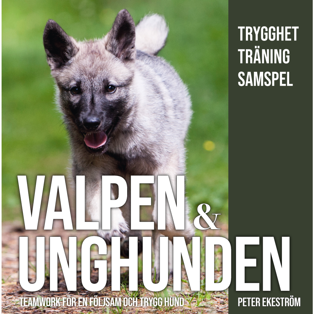 Produktbild för Valpen & unghunden : teamwork för en följsam och trygg hund (inbunden)