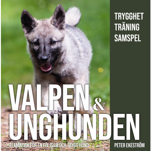 Peter Ekeström Valpen & unghunden : teamwork för en följsam och trygg hund (inbunden)
