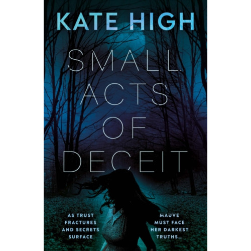 The Book Guild Ltd Small Acts of Deceit (häftad, eng)