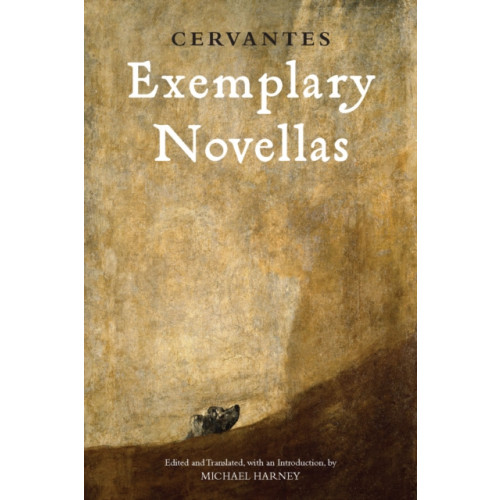 Hackett Publishing Co, Inc Exemplary Novellas (häftad, eng)