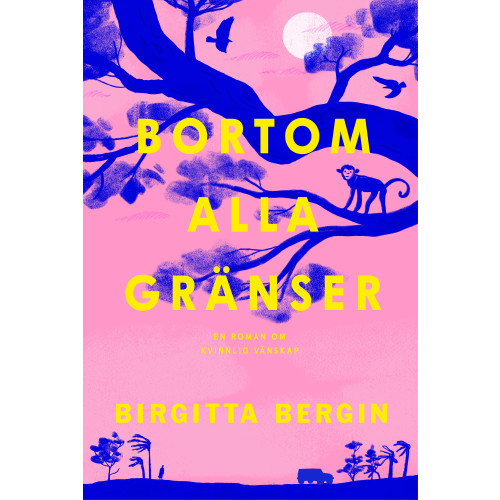 Birgitta Bergin Bortom alla gränser (pocket)