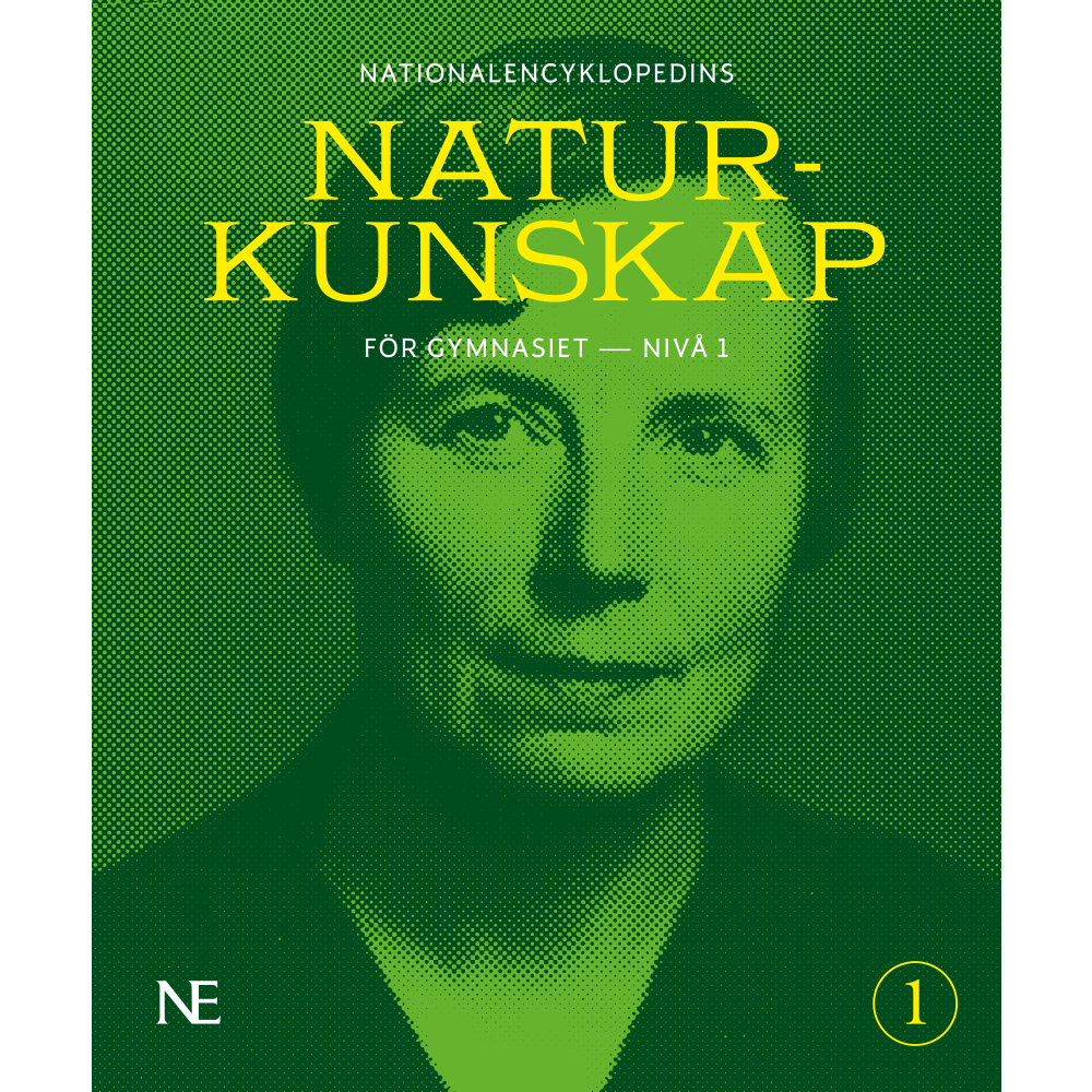 Produktbild för NE Naturkunskap för gymnasiet : nivå 1 (häftad)